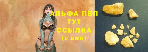 стаф Лихославль