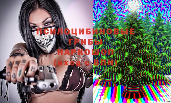 стаф Лихославль